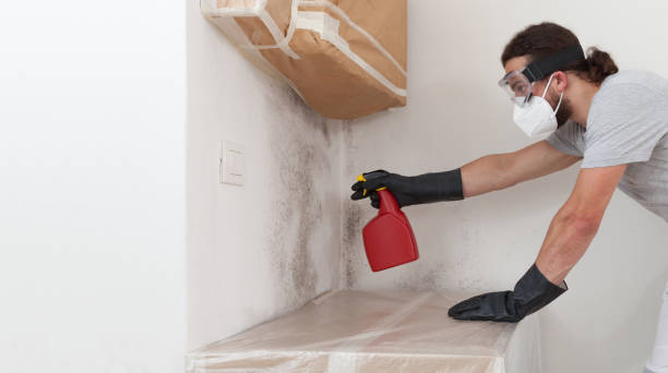 Professional Bathroom Mold Removal technician working in Stedman, NC